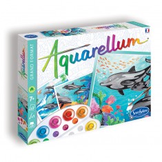 Aquarellum Dolphins